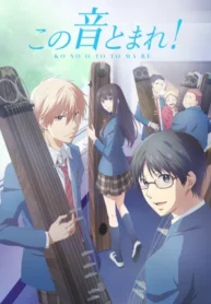 kono-oto-tomare